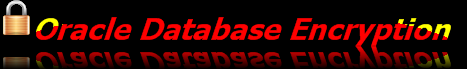 Oracle Security and Database Encryption Software